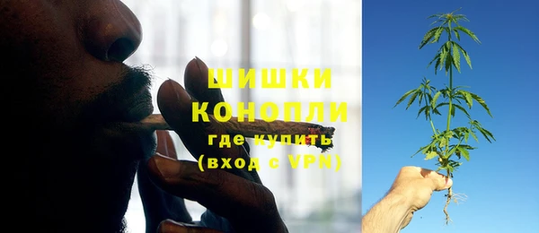 PSILOCYBIN Баксан